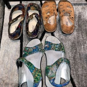 Alegria lot size 38